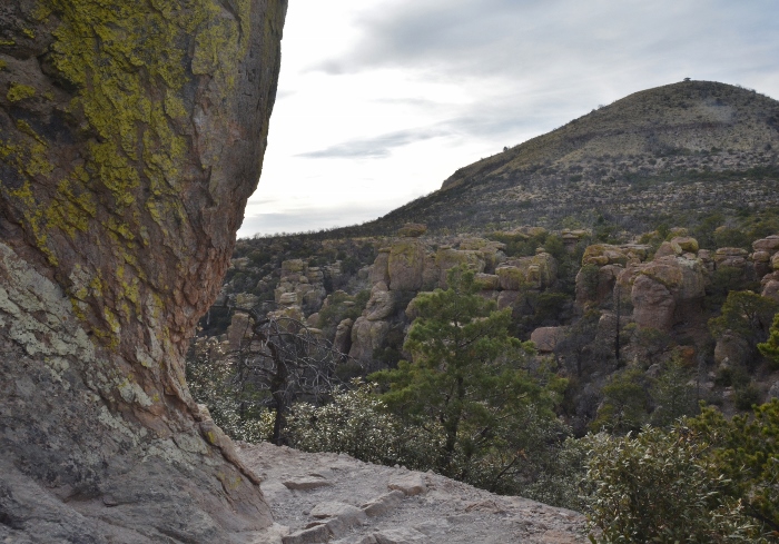 along one of the hiking trails